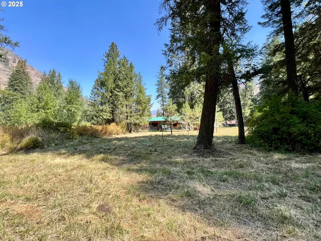a view of a yard with a tree
