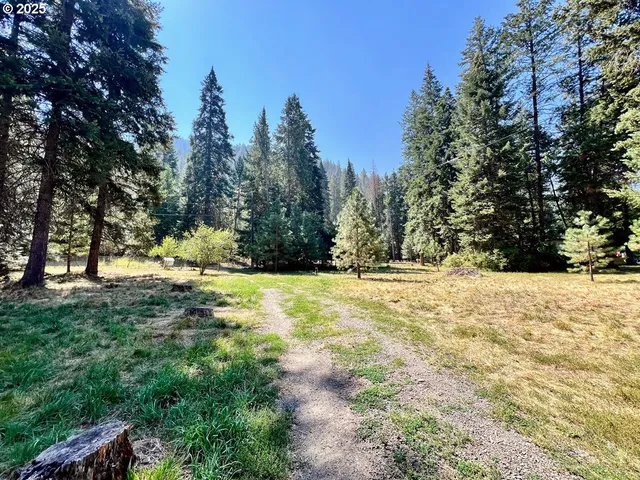 a view of yard covered with snow in front of house