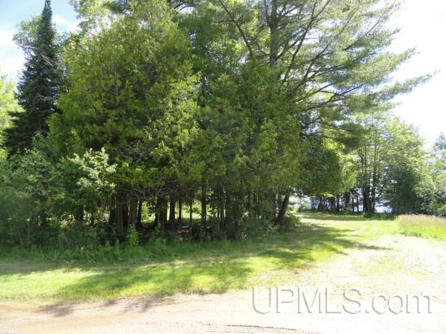 Tbd Puuri Road Baraga, MI 49908 - Photo 19 of 20