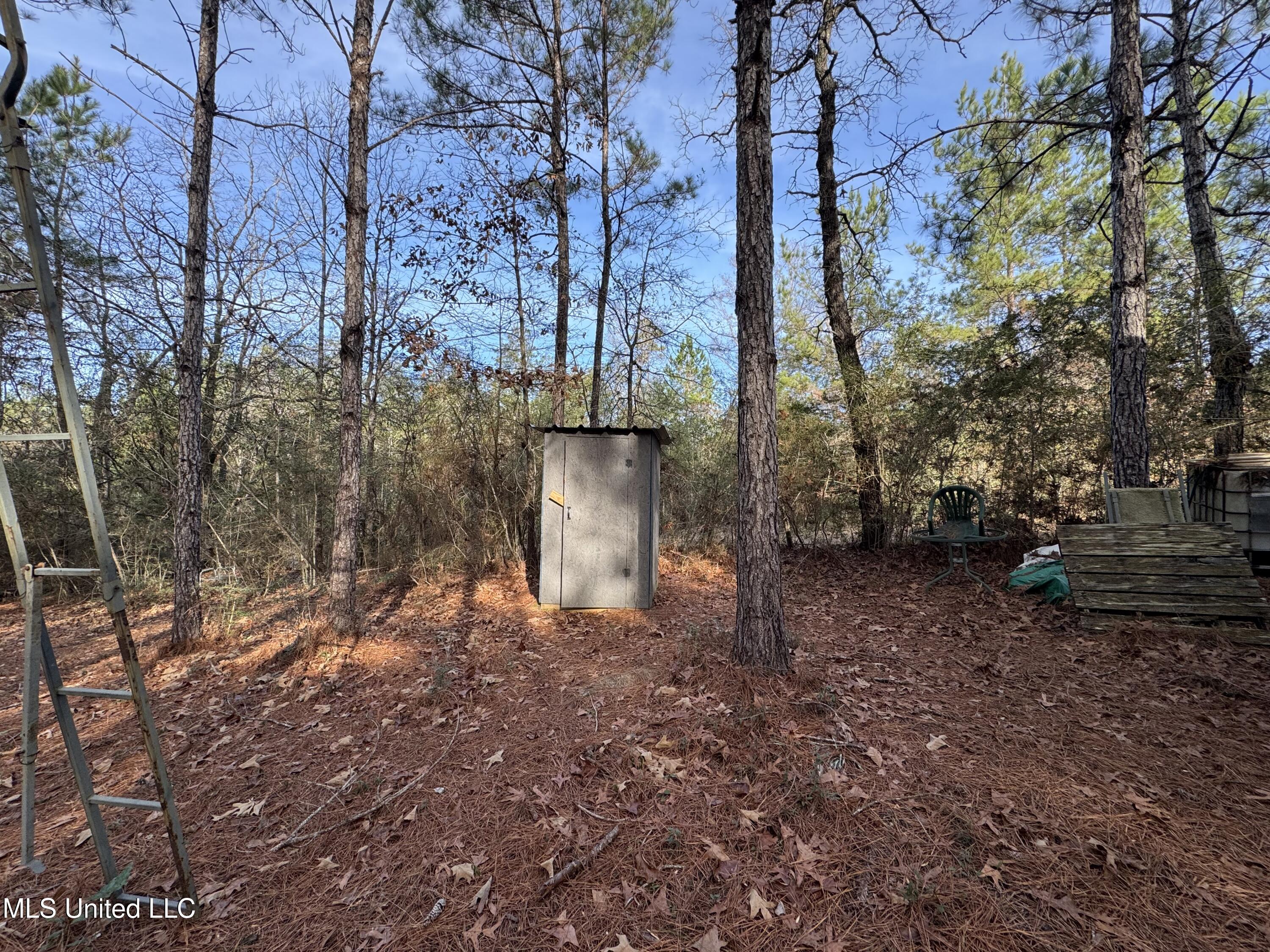 259 Forest Lake Road Beaumont, MS 39423 - Photo 16 of 62 IMG_1534