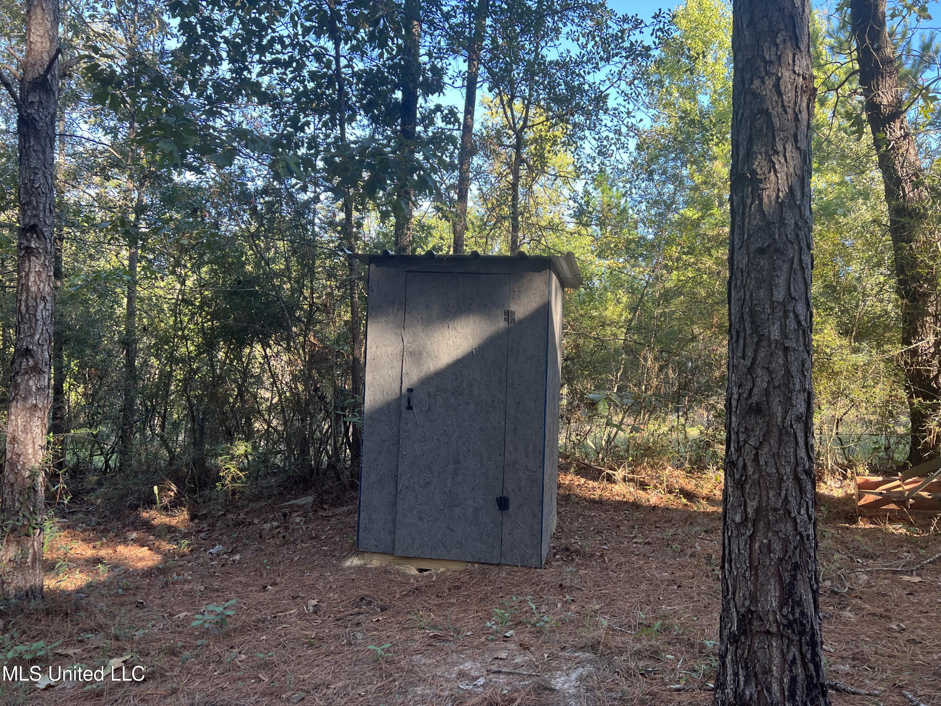 259 Forest Lake Road Beaumont, MS 39423 - Photo 17 of 62 IMG_8980