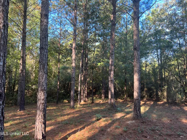 $235,000 | 259 Forest Lake Road, Beaumont, MS 39423