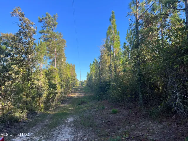 $235,000 | 259 Forest Lake Road, Beaumont, MS 39423