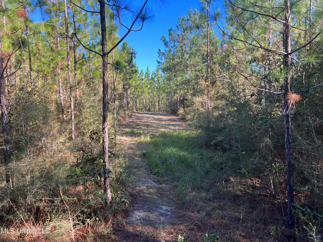 $235,000 | 259 Forest Lake Road, Beaumont, MS 39423