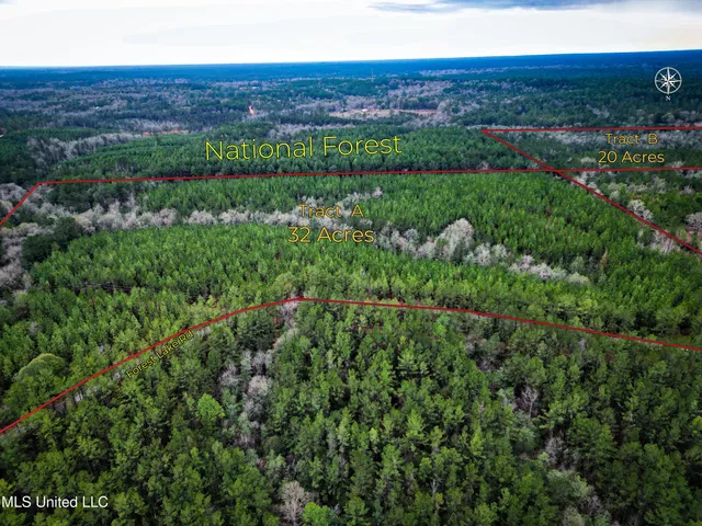 $235,000 | 259 Forest Lake Road, Beaumont, MS 39423