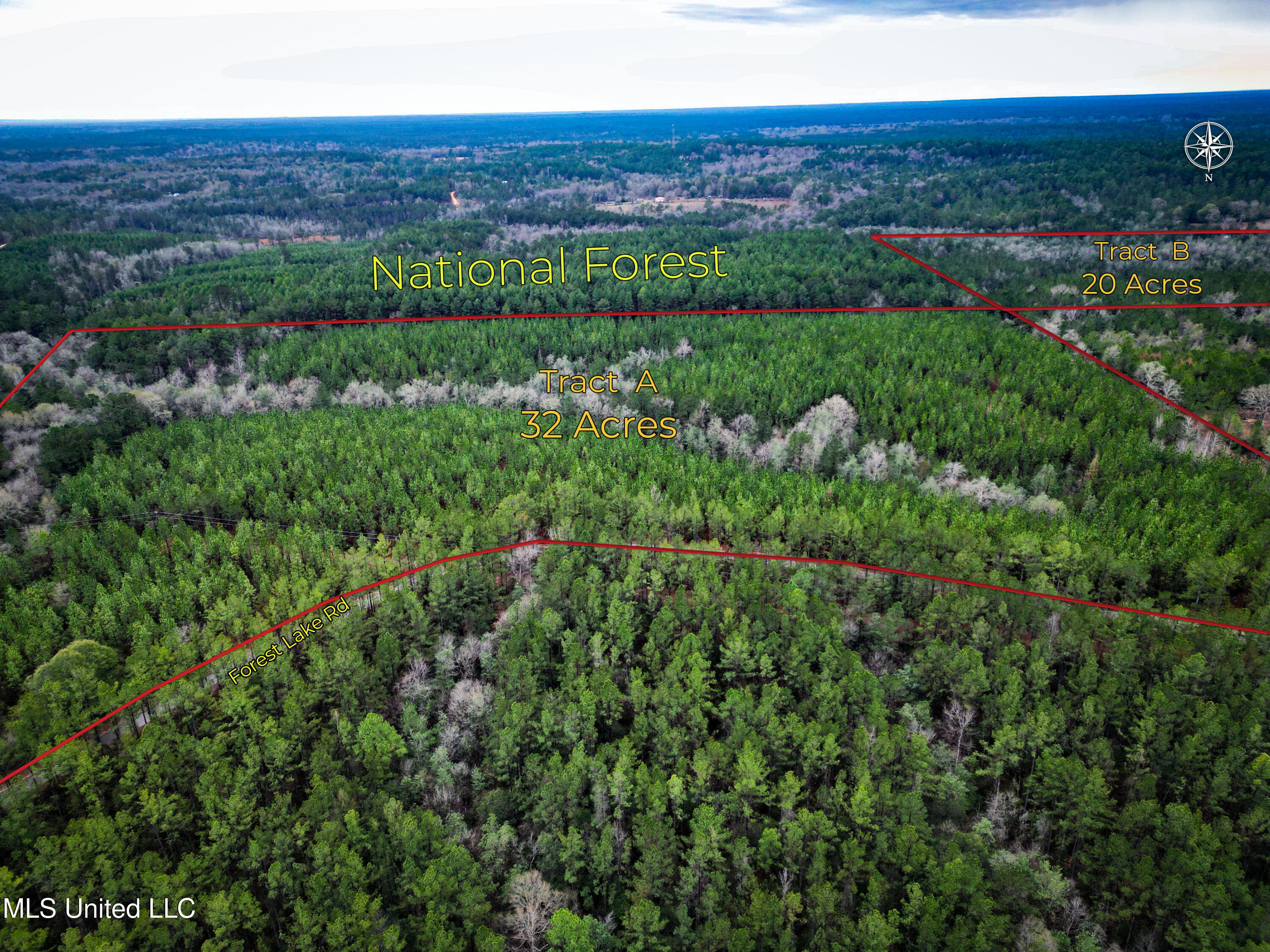 259 Forest Lake Road Beaumont, MS 39423 - Photo 2 of 62 259 Forest Lake Rd 002