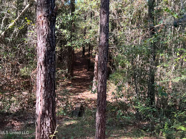 $235,000 | 259 Forest Lake Road, Beaumont, MS 39423