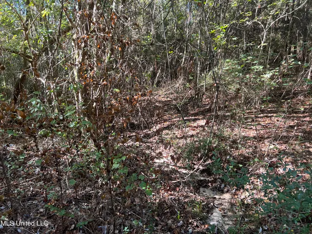 $235,000 | 259 Forest Lake Road, Beaumont, MS 39423