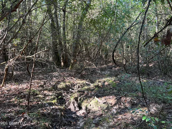 $230,000 | 259 Forest Lake Road, Beaumont, MS 39423