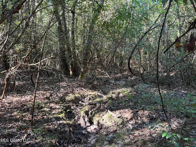 $235,000 | 259 Forest Lake Road, Beaumont, MS 39423