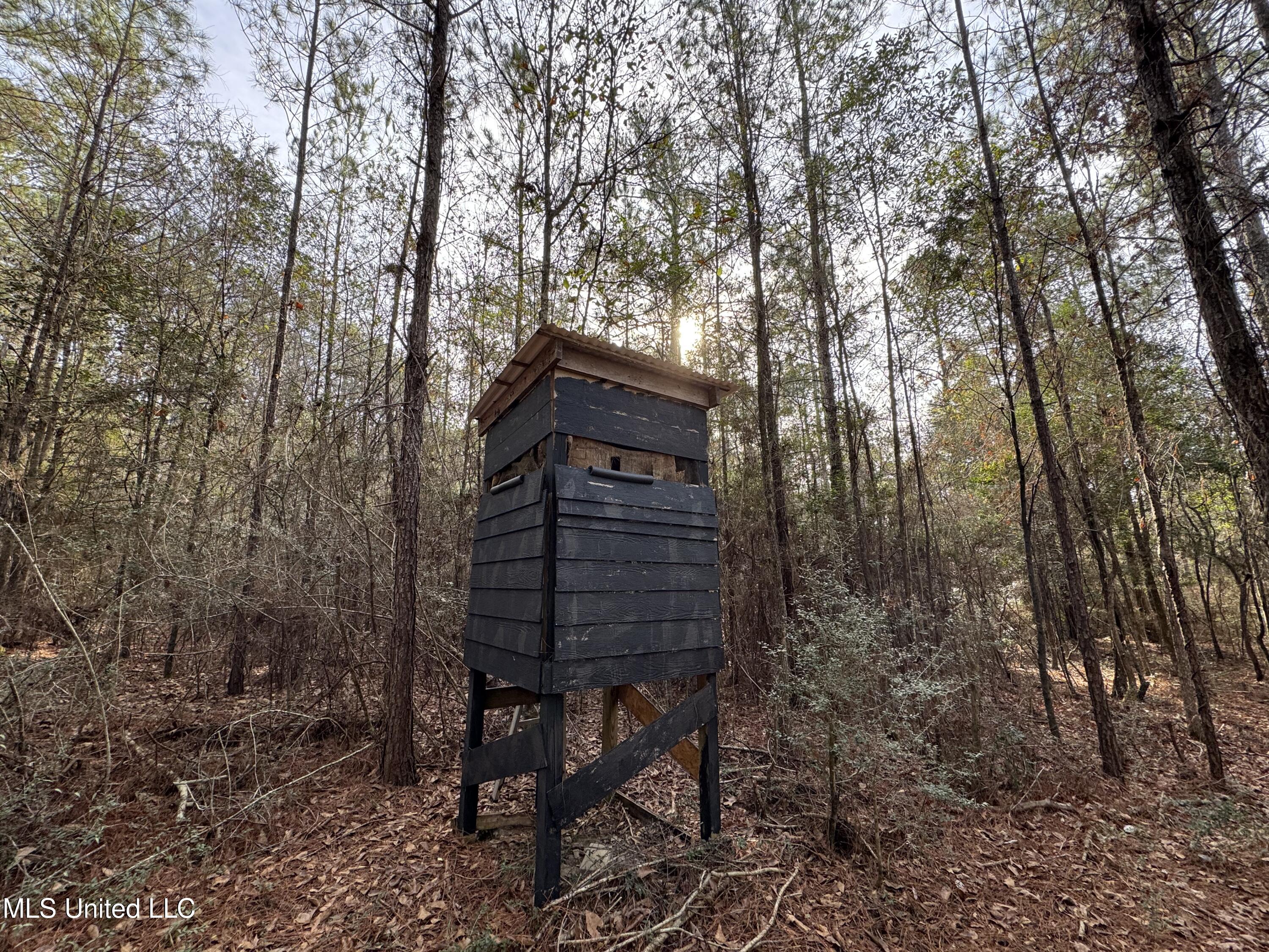 259 Forest Lake Road Beaumont, MS 39423 - Photo 25 of 62 IMG_1550