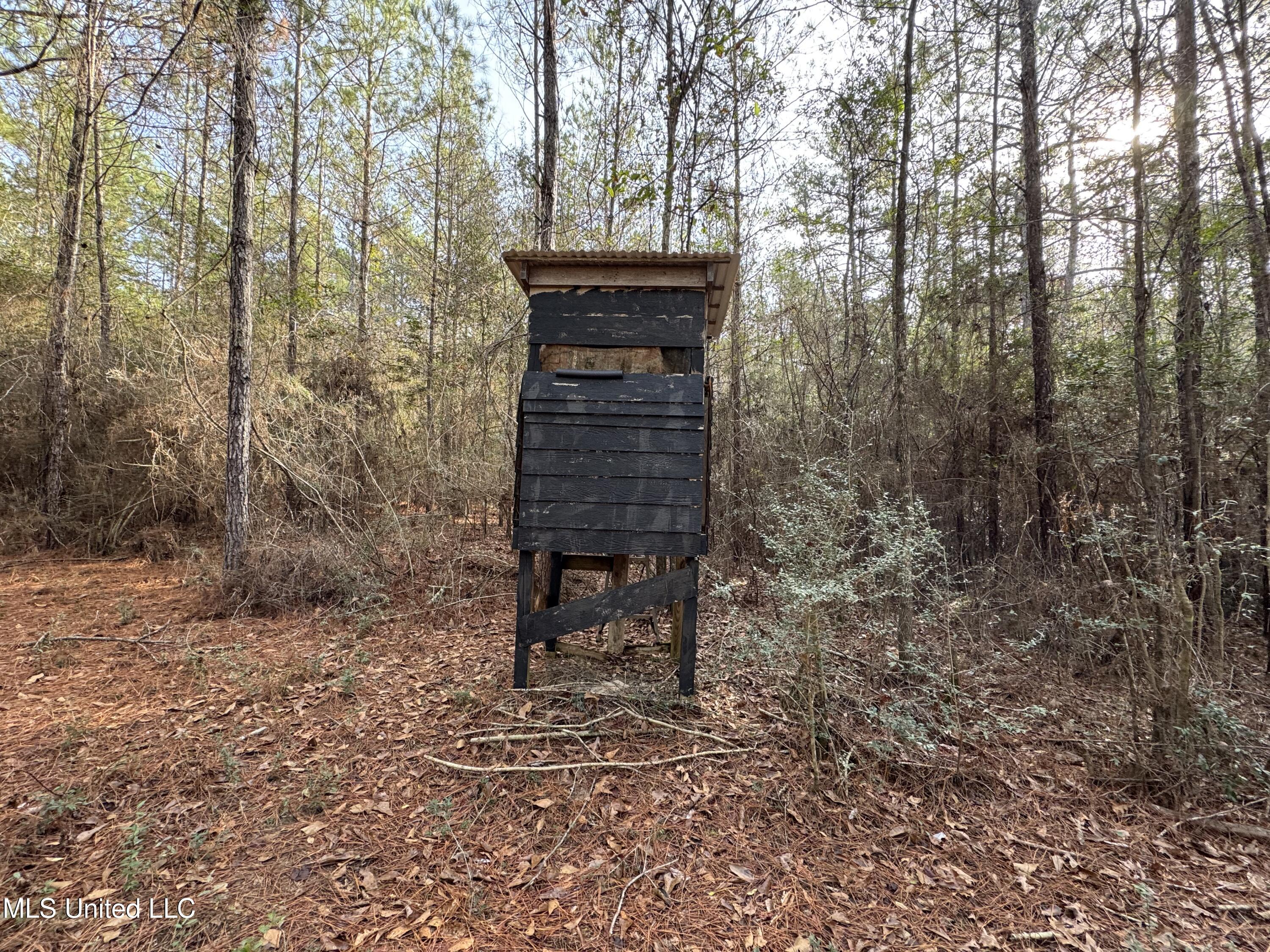 259 Forest Lake Road Beaumont, MS 39423 - Photo 26 of 62 IMG_1549
