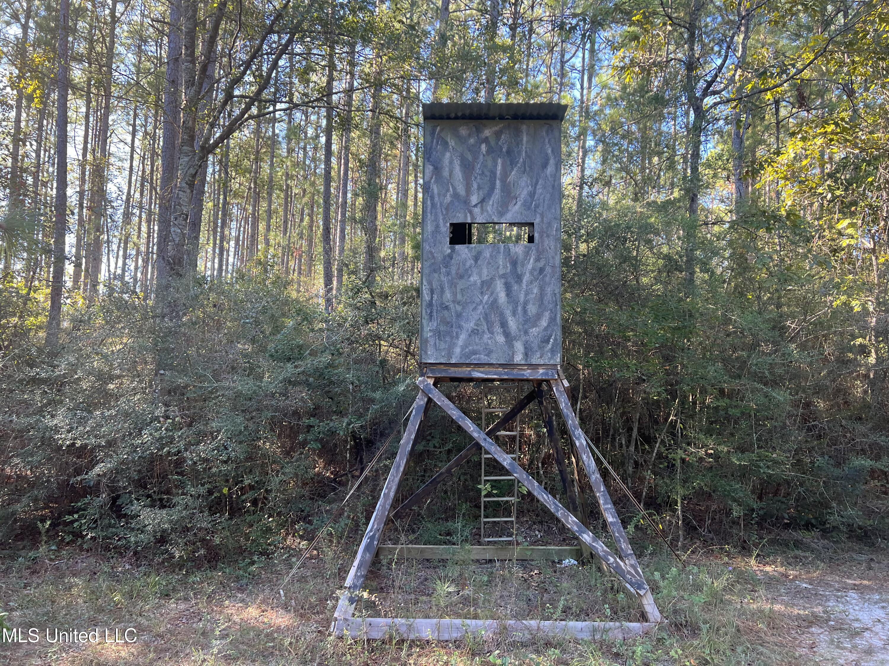 259 Forest Lake Road Beaumont, MS 39423 - Photo 27 of 62 IMG_9004