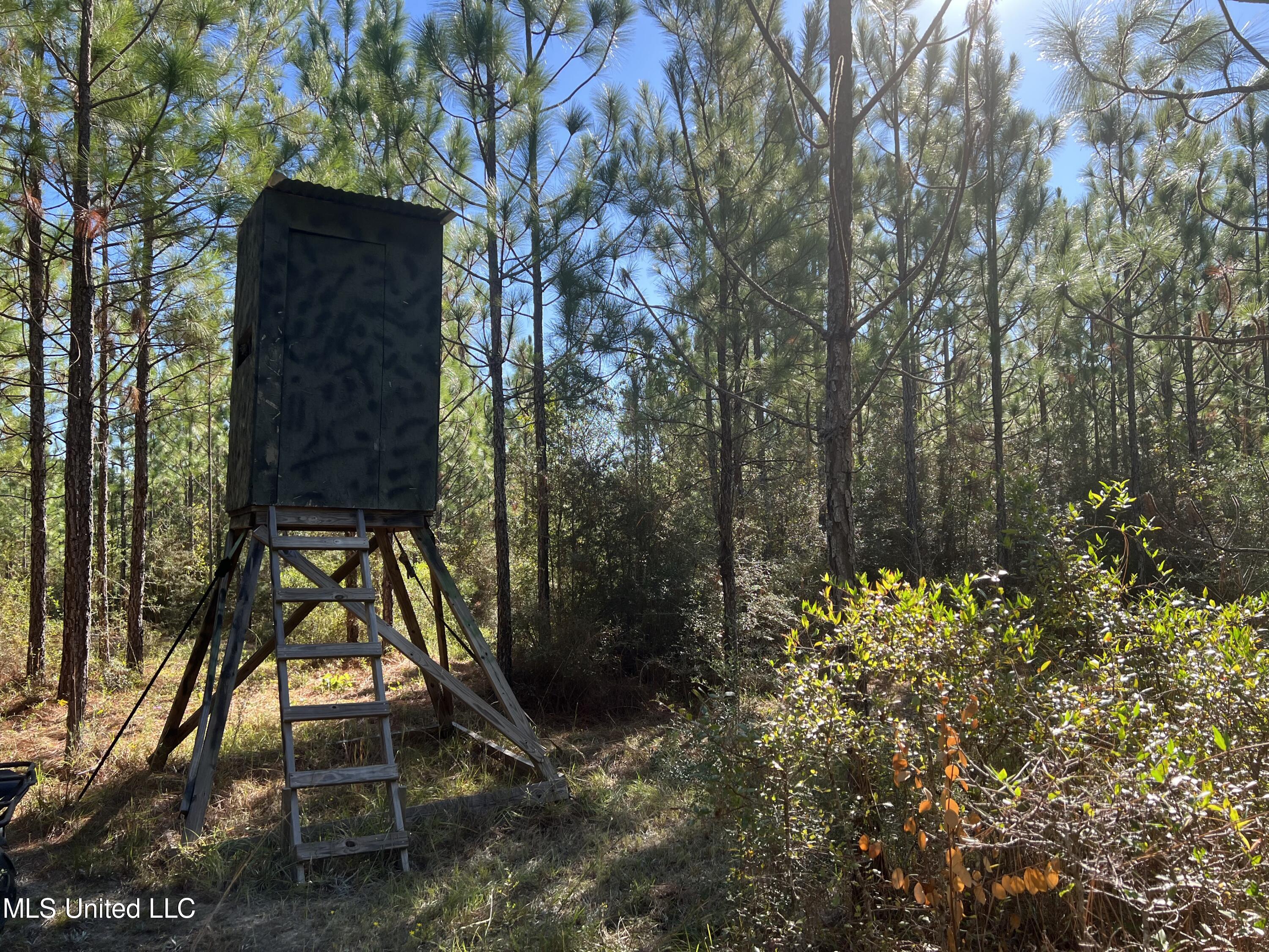 259 Forest Lake Road Beaumont, MS 39423 - Photo 28 of 62 IMG_9028