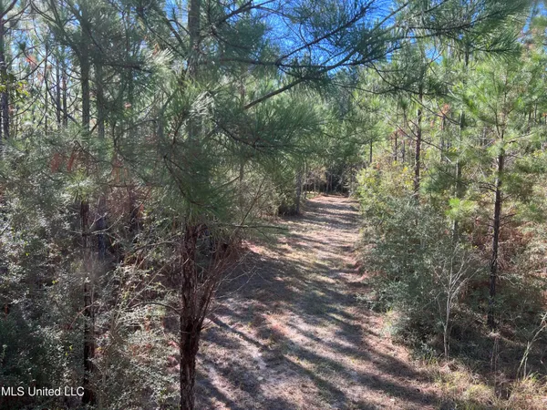 $235,000 | 259 Forest Lake Road, Beaumont, MS 39423