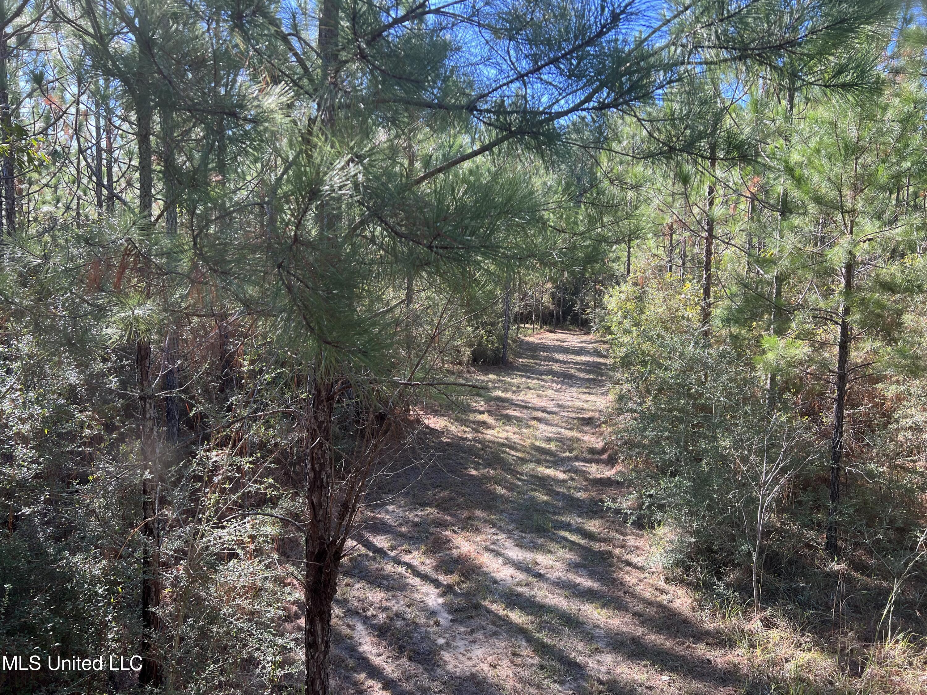 259 Forest Lake Road Beaumont, MS 39423 - Photo 29 of 62 IMG_9024