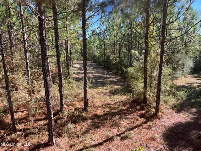 $235,000 | 259 Forest Lake Road, Beaumont, MS 39423