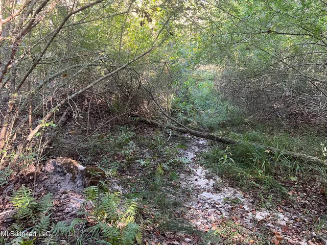 $235,000 | 259 Forest Lake Road, Beaumont, MS 39423