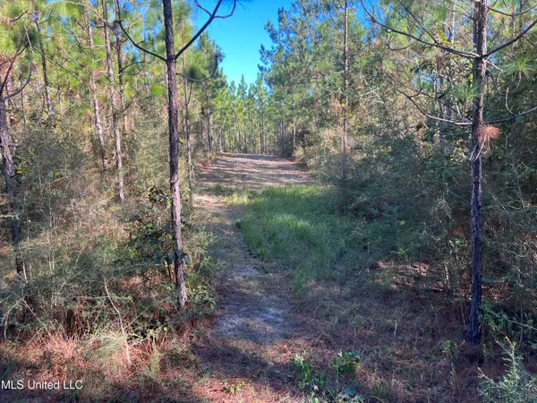 $235,000 | 259 Forest Lake Road, Beaumont, MS 39423