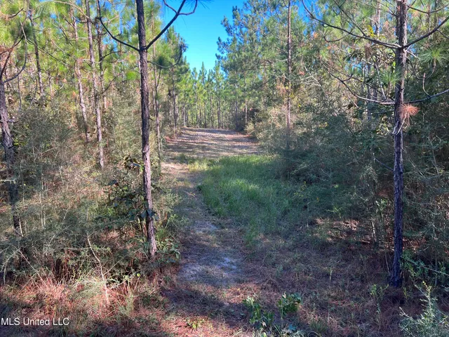 $235,000 | 259 Forest Lake Road, Beaumont, MS 39423