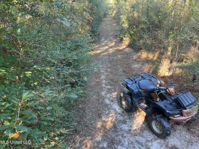 $235,000 | 259 Forest Lake Road, Beaumont, MS 39423