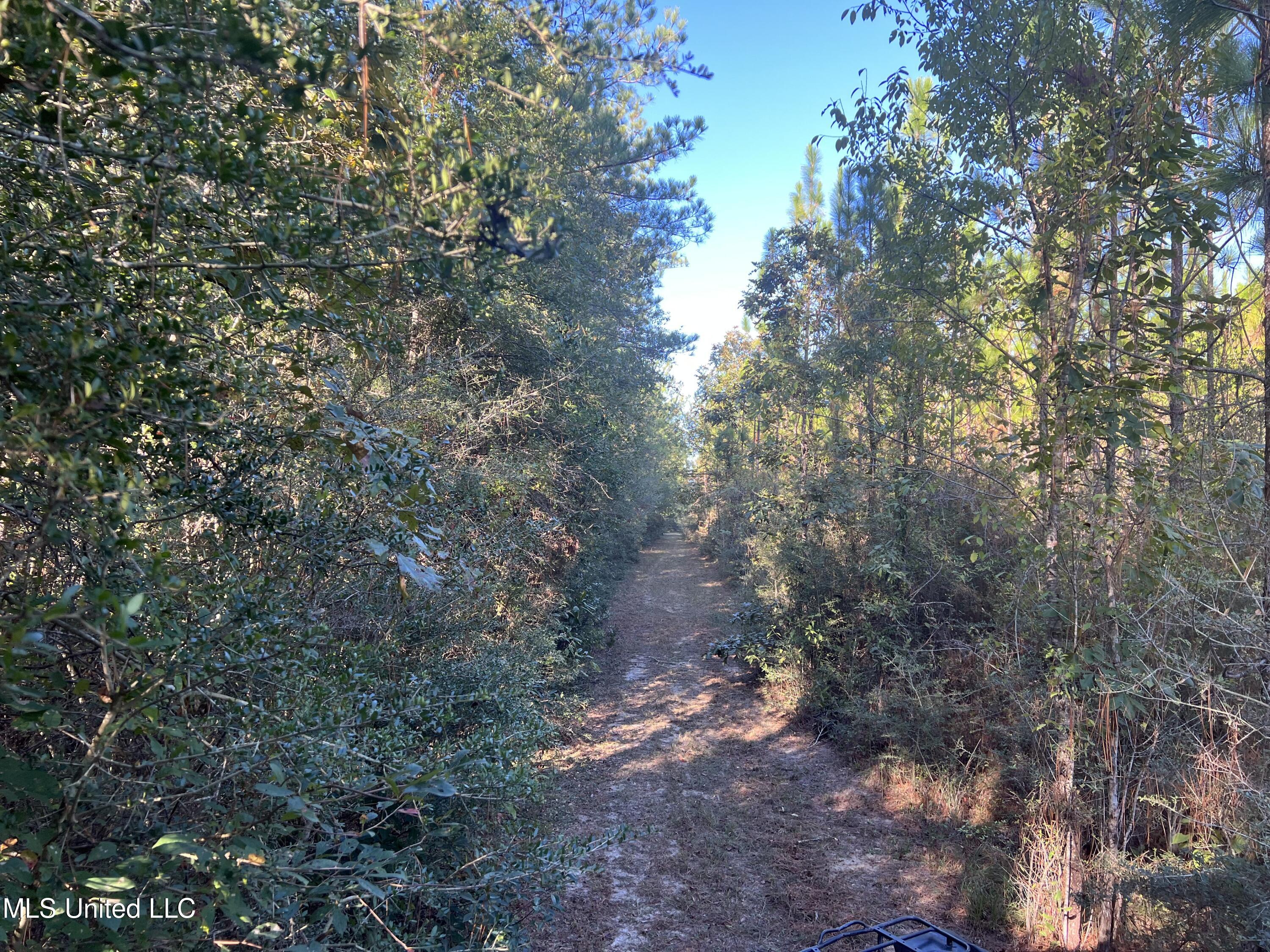 259 Forest Lake Road Beaumont, MS 39423 - Photo 35 of 62 IMG_8996