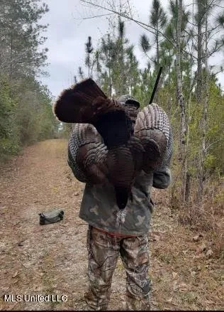 $235,000 | 259 Forest Lake Road, Beaumont, MS 39423