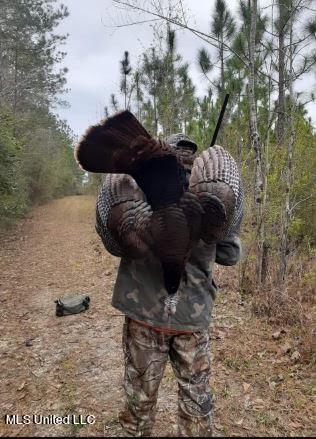 259 Forest Lake Road Beaumont, MS 39423 - Photo 36 of 62 IMG_9086