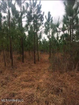 $235,000 | 259 Forest Lake Road, Beaumont, MS 39423