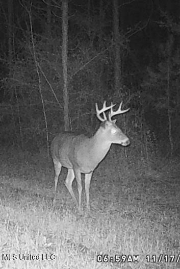 259 Forest Lake Road Beaumont, MS 39423 - Photo 47 of 62 IMG_9102
