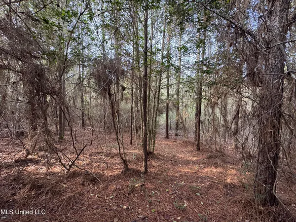 $230,000 | 259 Forest Lake Road, Beaumont, MS 39423