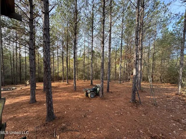 $235,000 | 259 Forest Lake Road, Beaumont, MS 39423