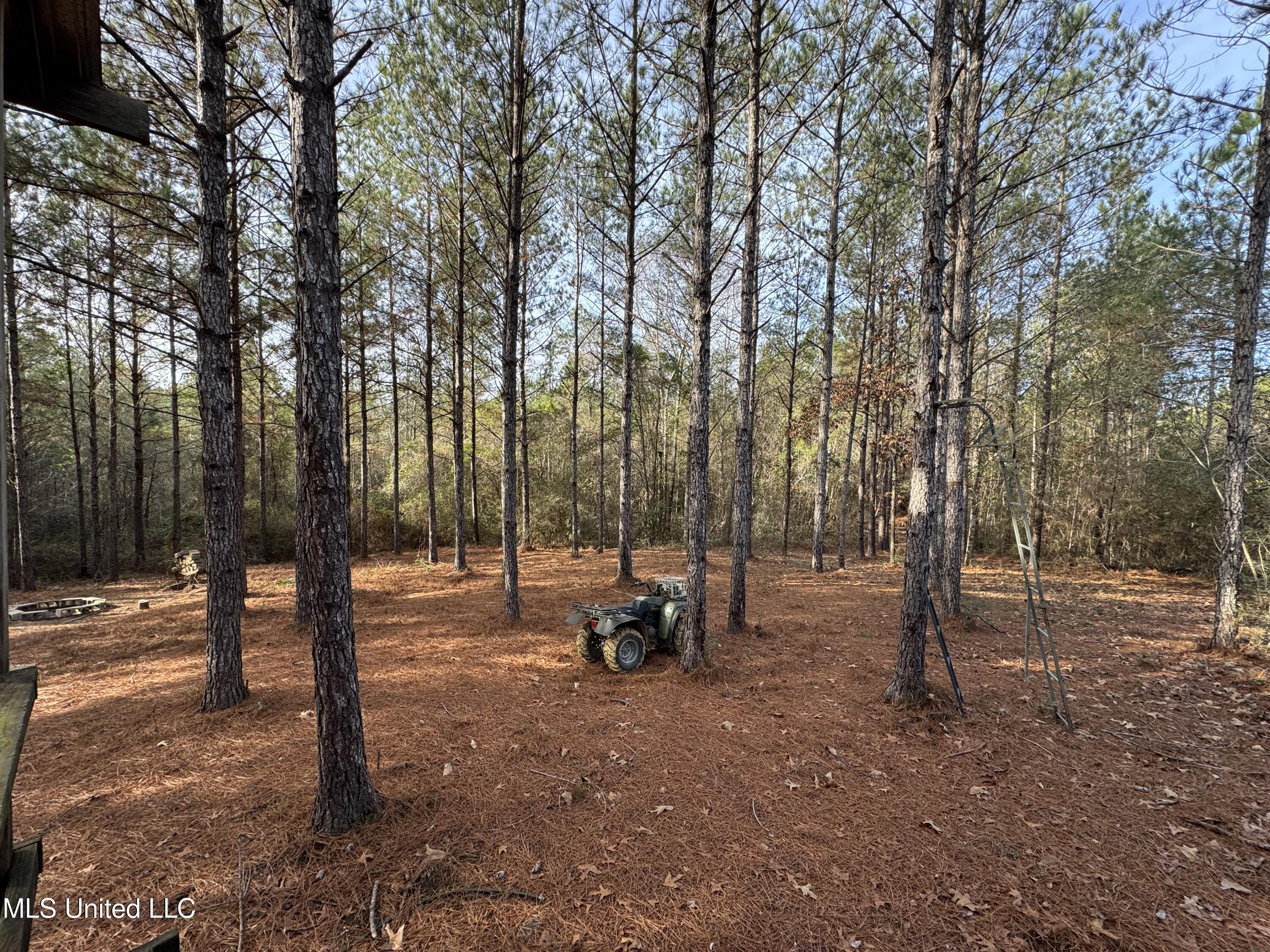 259 Forest Lake Road Beaumont, MS 39423 - Photo 56 of 62 IMG_1523