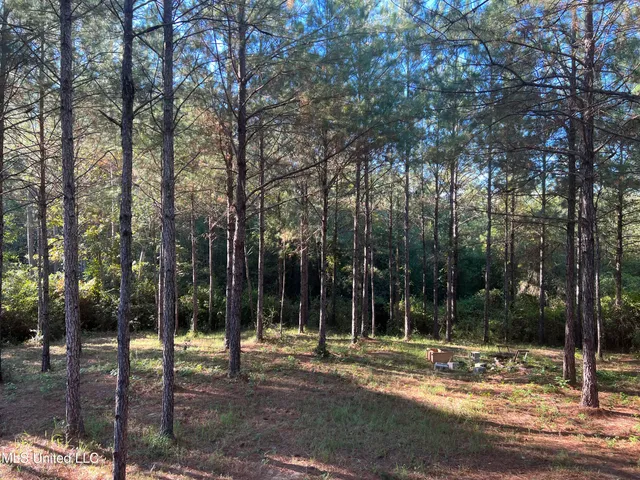 $235,000 | 259 Forest Lake Road, Beaumont, MS 39423