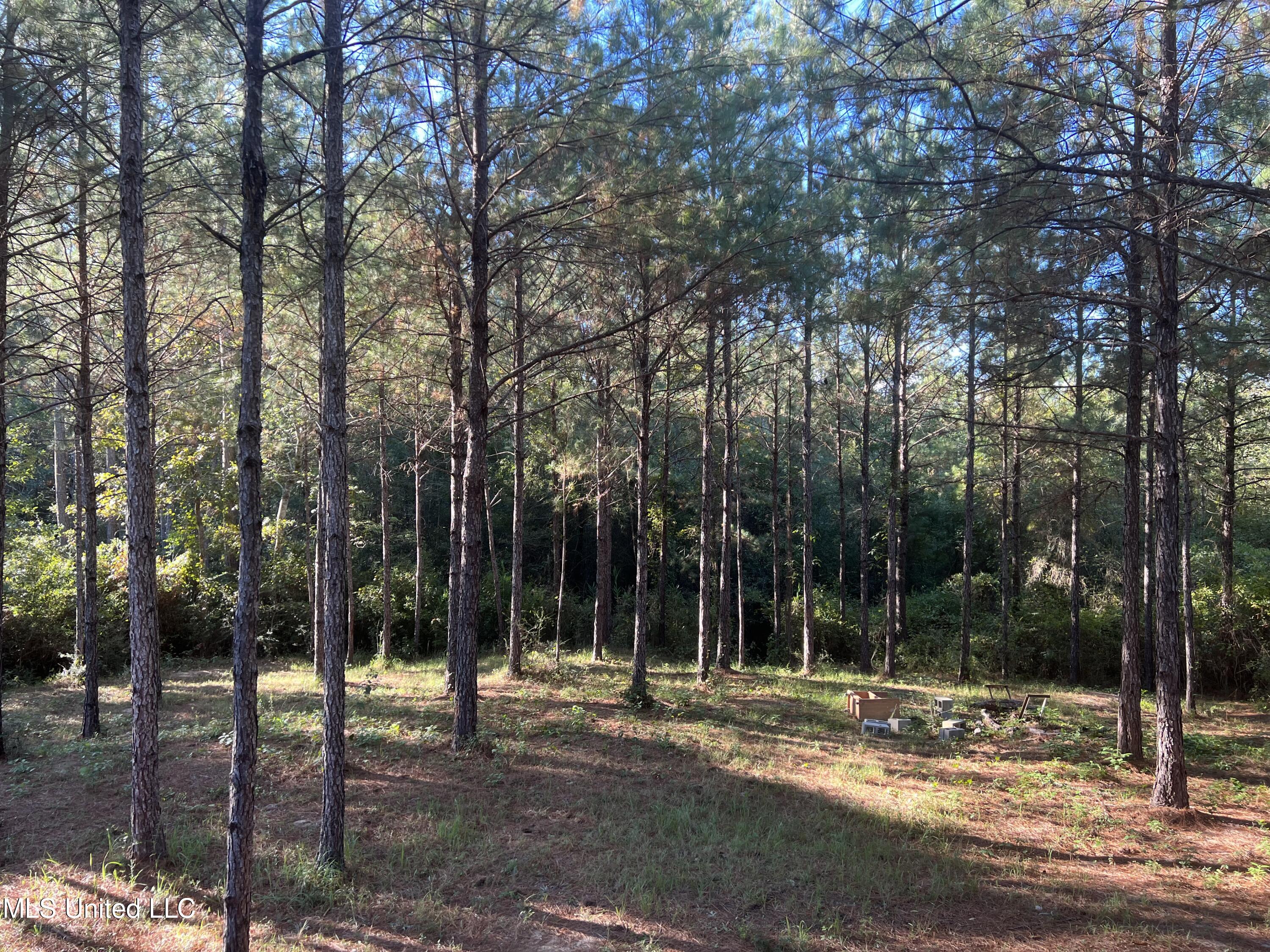 259 Forest Lake Road Beaumont, MS 39423 - Photo 57 of 62 IMG_8983