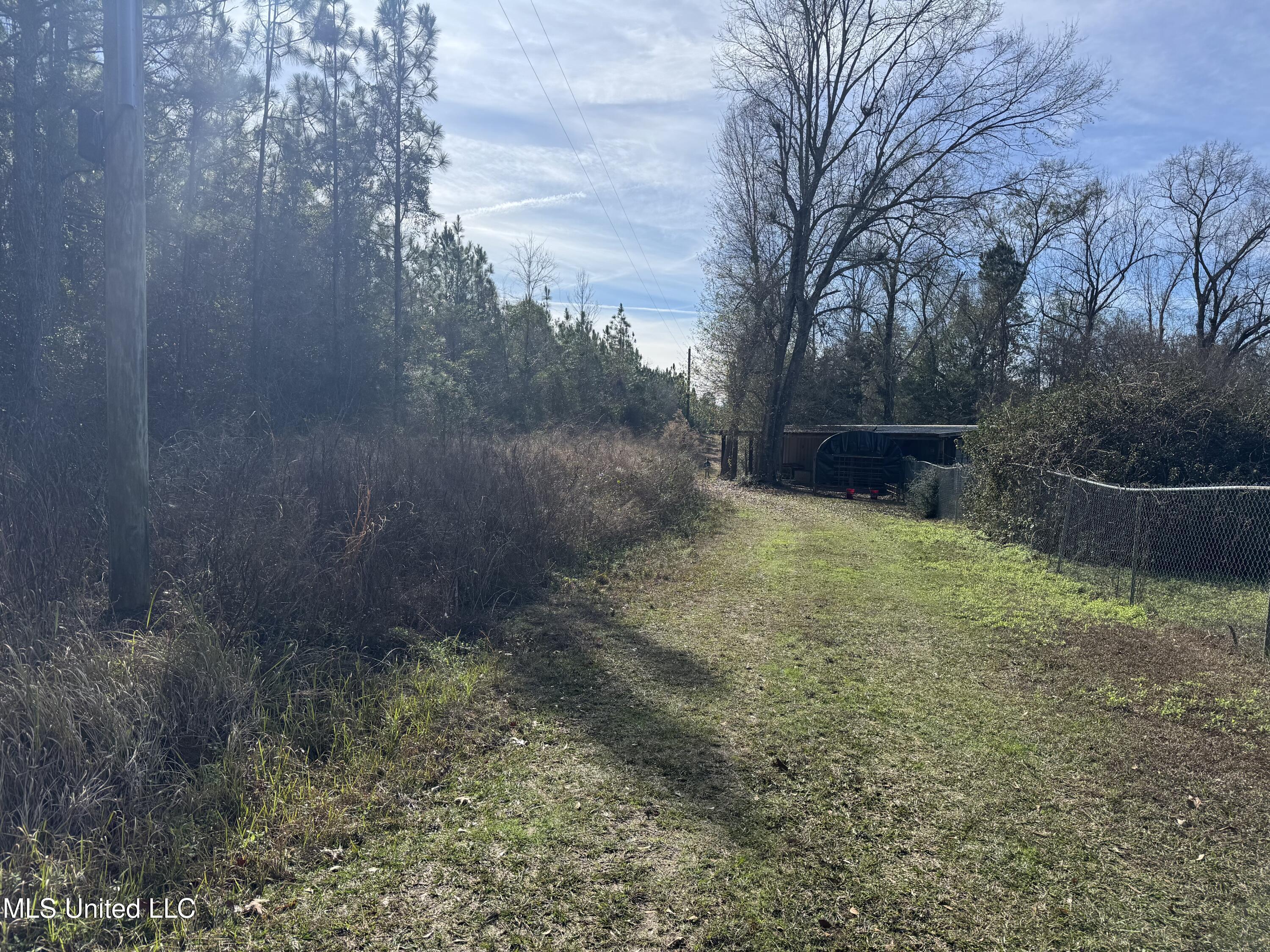 259 Forest Lake Road Beaumont, MS 39423 - Photo 58 of 62 IMG_1575