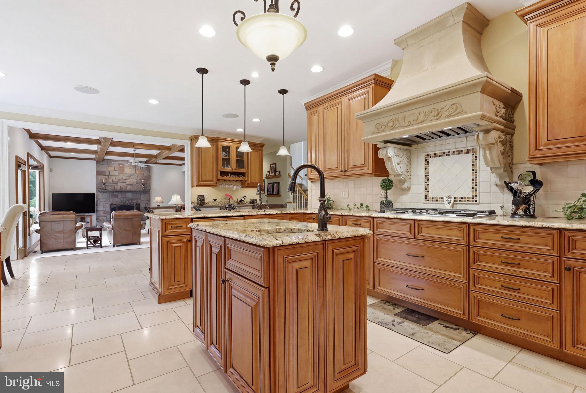 324 Ridge Avenue Newtown, PA 18940 - Photo 16 of 95 Chefs Kitchen!