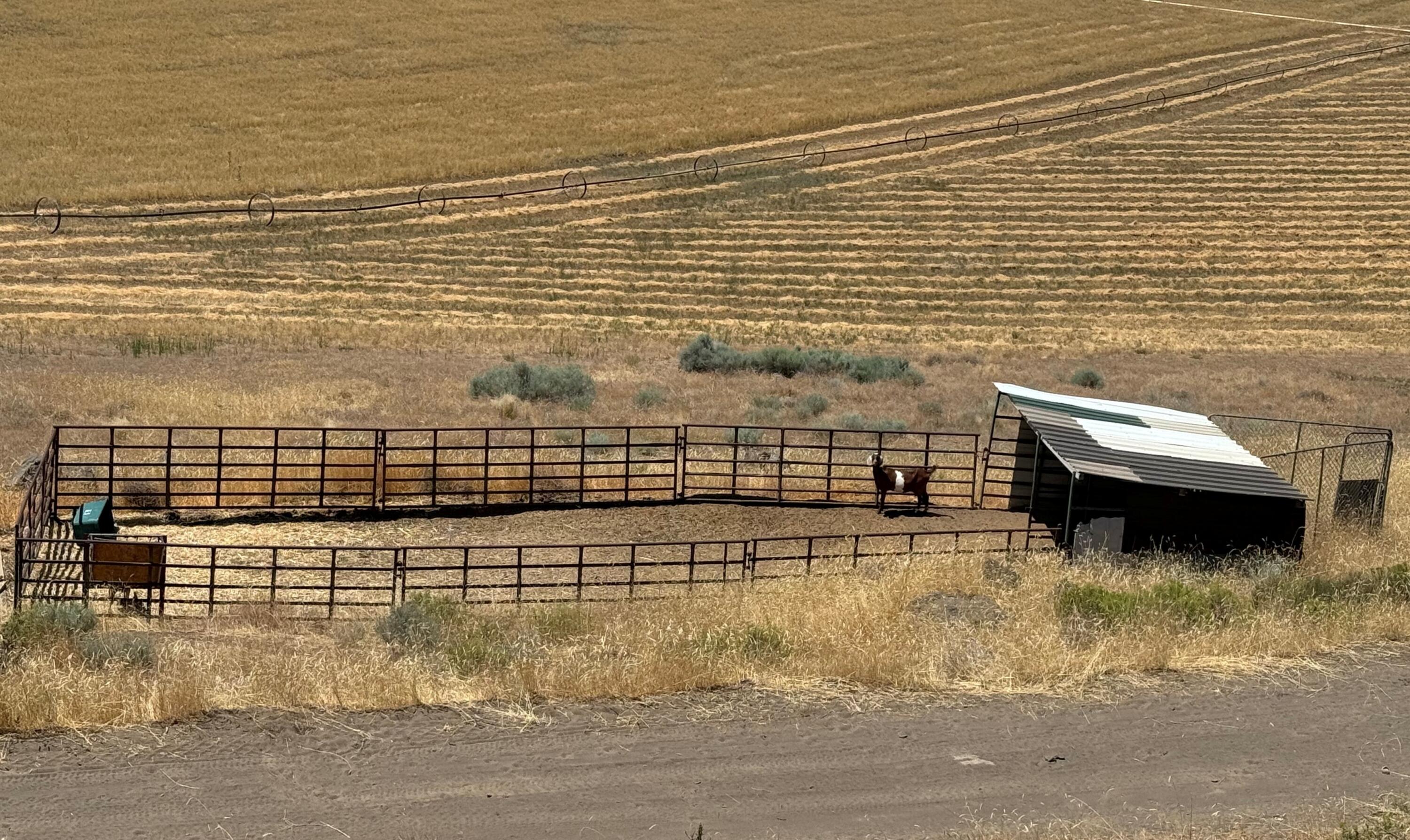 17550 Maupin Road Malin, OR 97632 - Photo 47 of 62 Gallery Image 47
