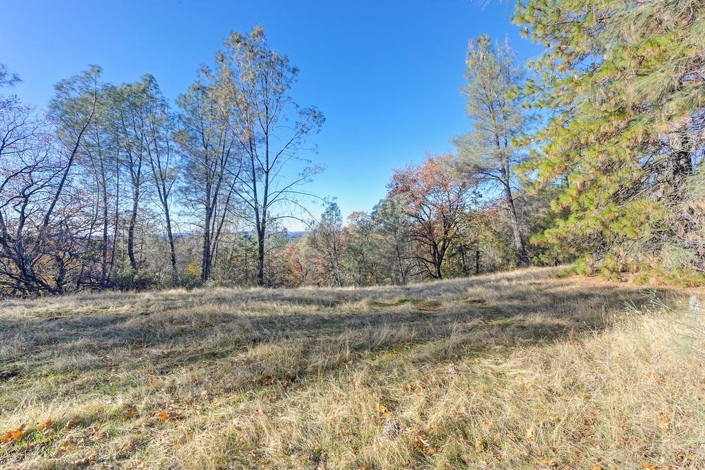23050 Retherford Road Auburn, CA 95602 - Photo 2 of 39 a view of dirt yard with a large tree