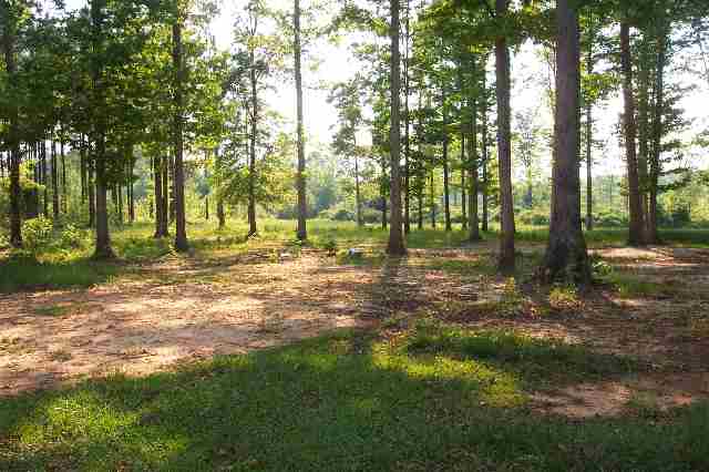 322 Hawthorne Road Honea Path, SC 29654 - Photo 8 of 9