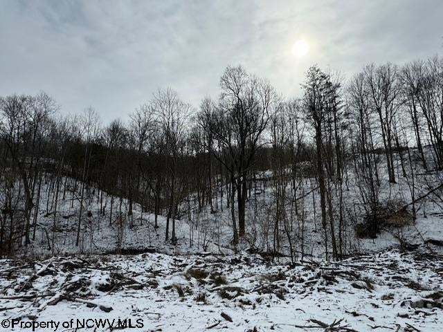 398 Hartley Run Road Le Roy, WV 25252 - Photo 11 of 23 Gallery Image 11