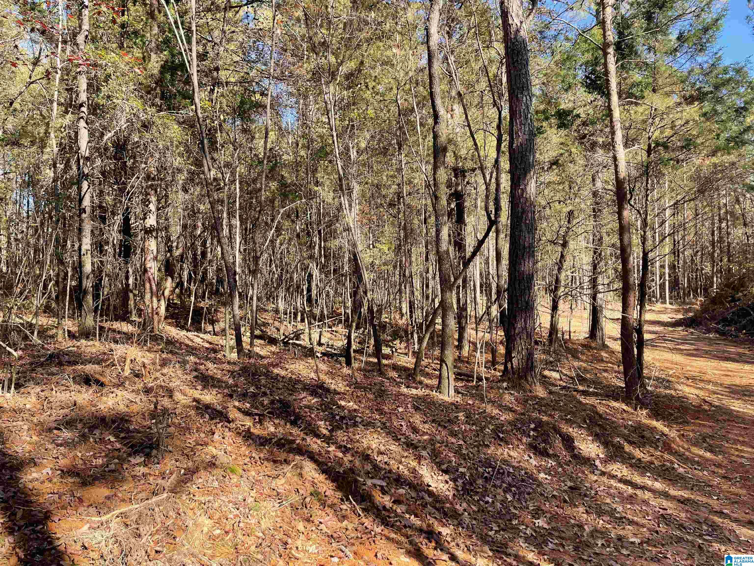 357 Ronbar Road, Unit 3 Columbiana, AL 35051 - Photo 5 of 6