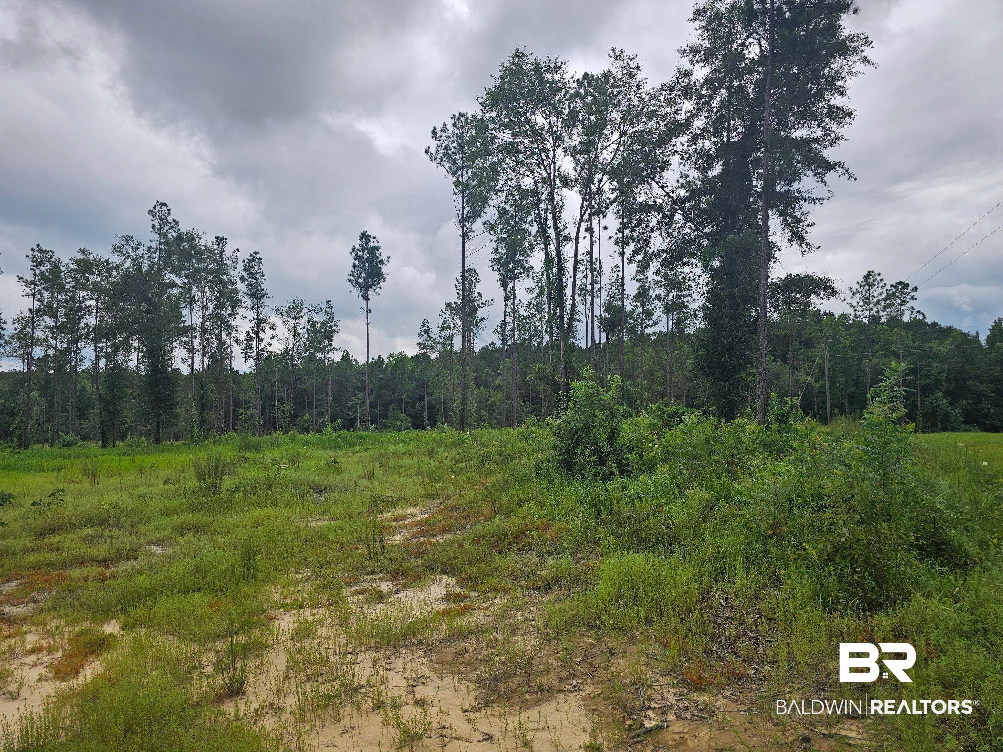 23799 Lonnie Hadley Road Perdido, AL 36562 - Photo 4 of 5 View of tree filled area