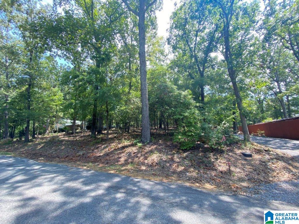 0 Clearwater Point Road, Unit 5 Cropwell, AL 35054 - Photo 15 of 15