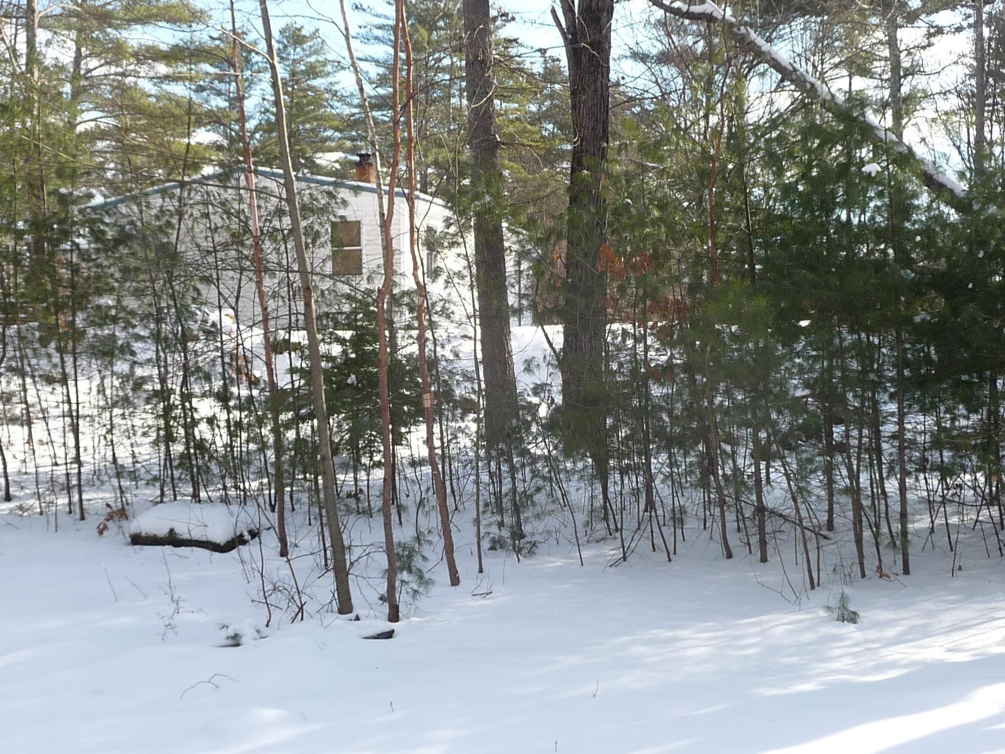 381 Shaw Road Northfield, NH 03276 - Photo 3 of 15