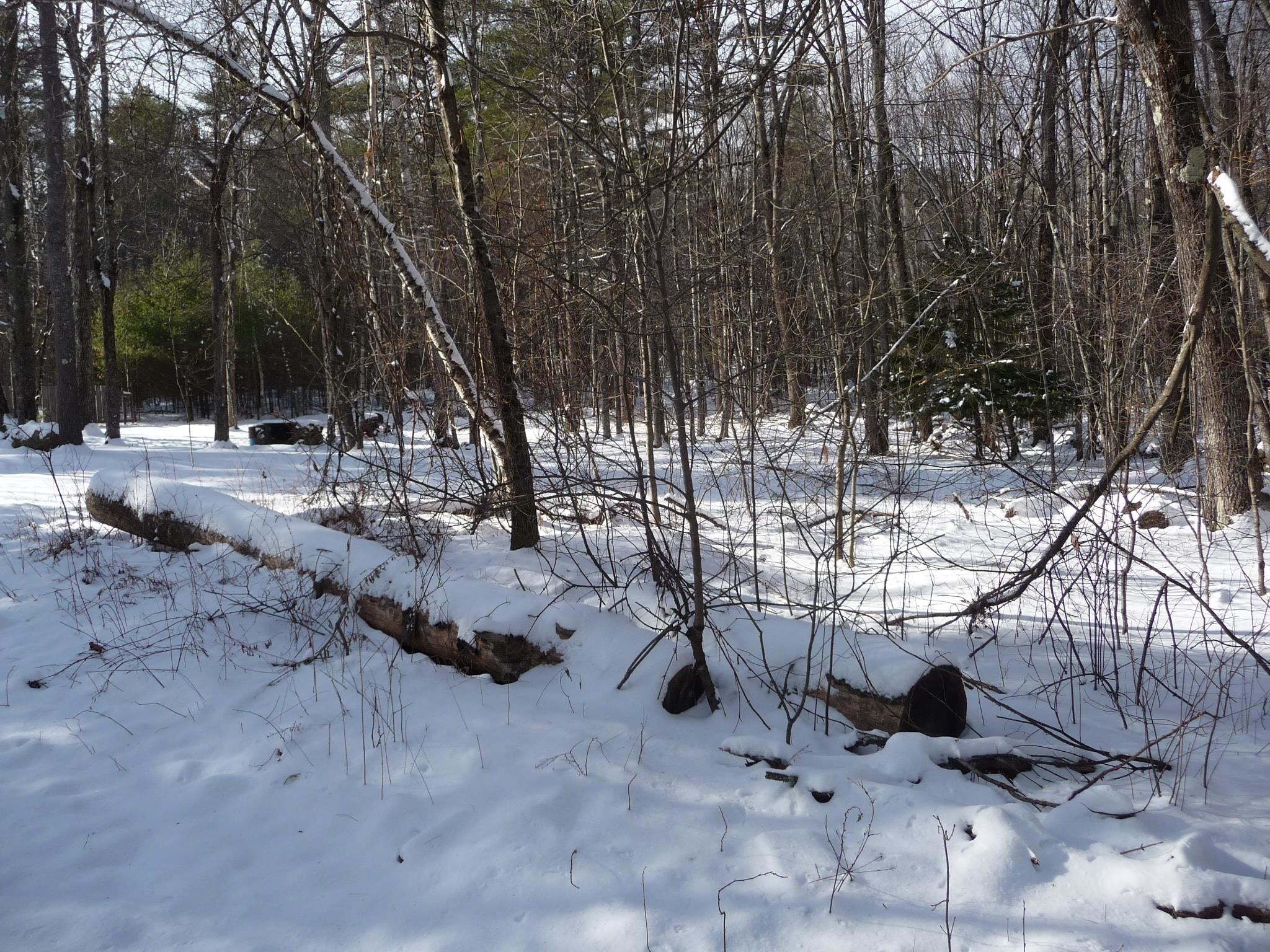 381 Shaw Road Northfield, NH 03276 - Photo 8 of 15