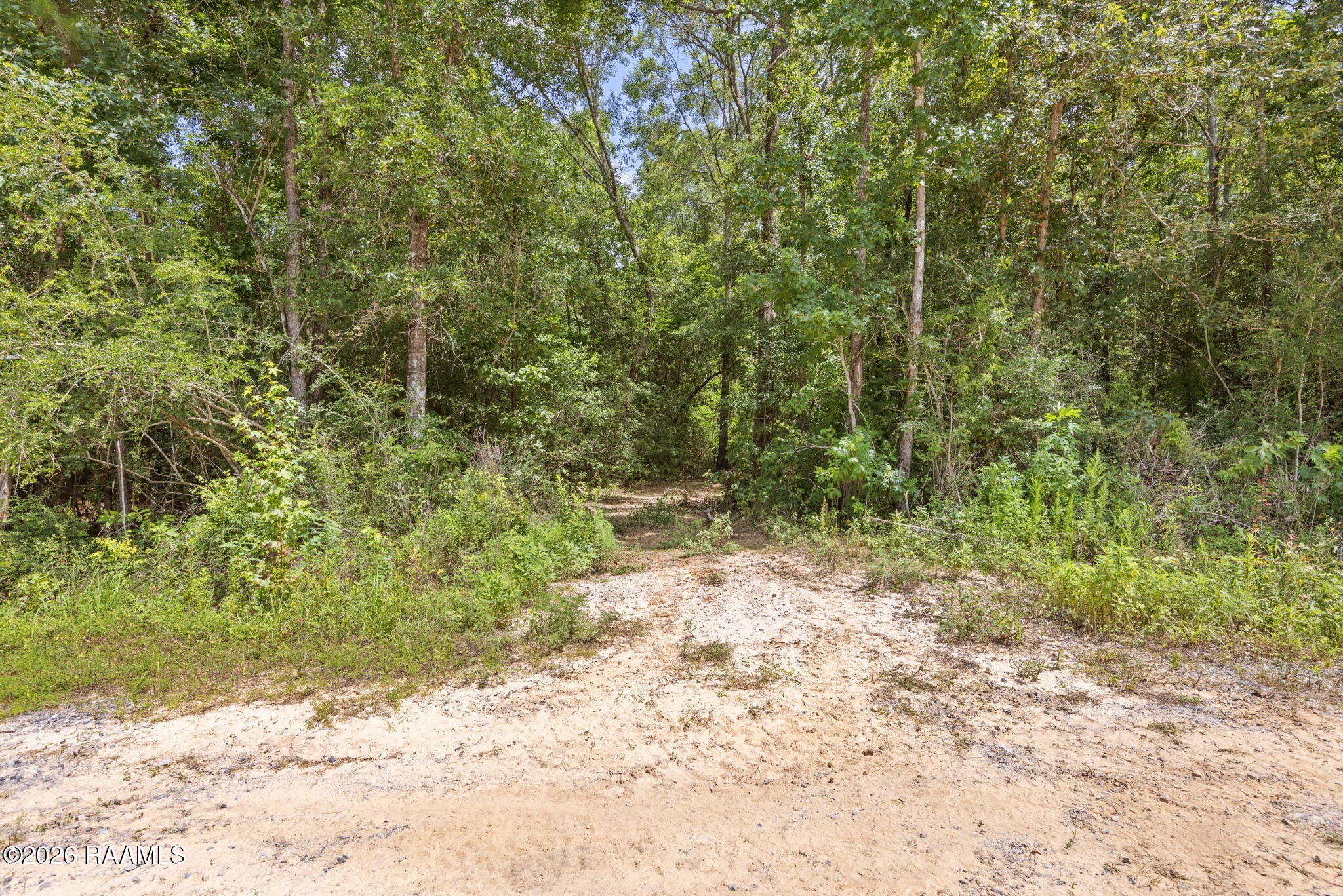 301 Crabapple Road Iota, LA 70543 - Photo 5 of 40 5-web-or-mls-803A6117