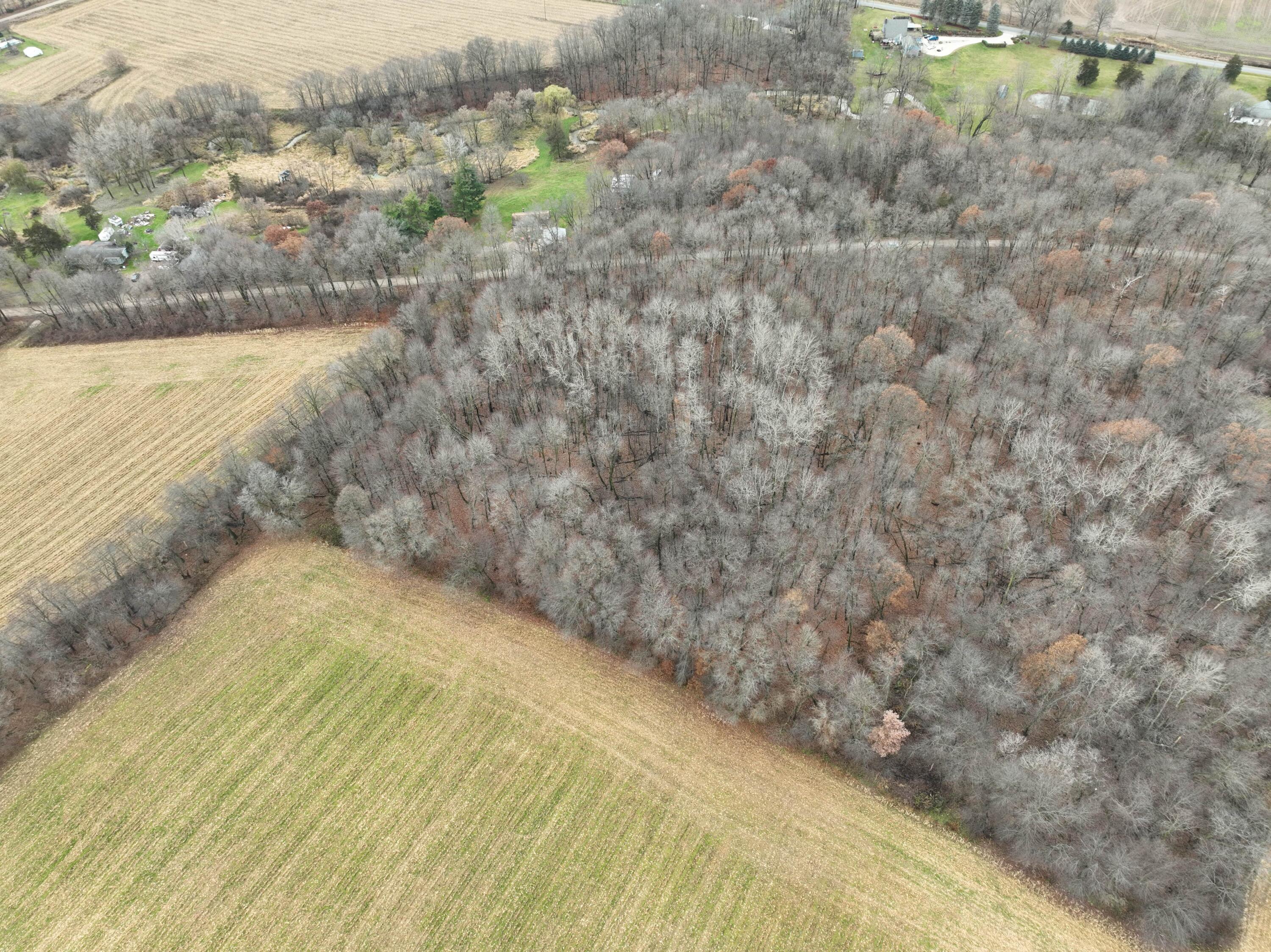 4.53 Lyons Road Lyons, MI 48851 - Photo 5 of 24 3-min