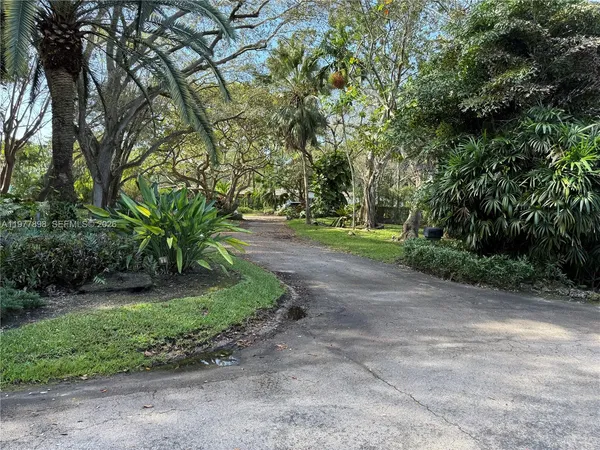 a view of a yard with plants and trees