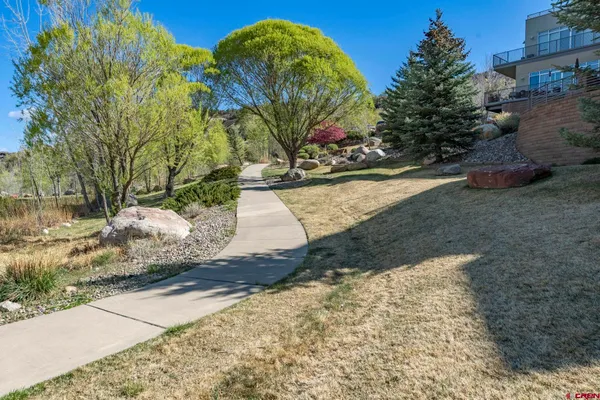 a view of a yard with plants and trees